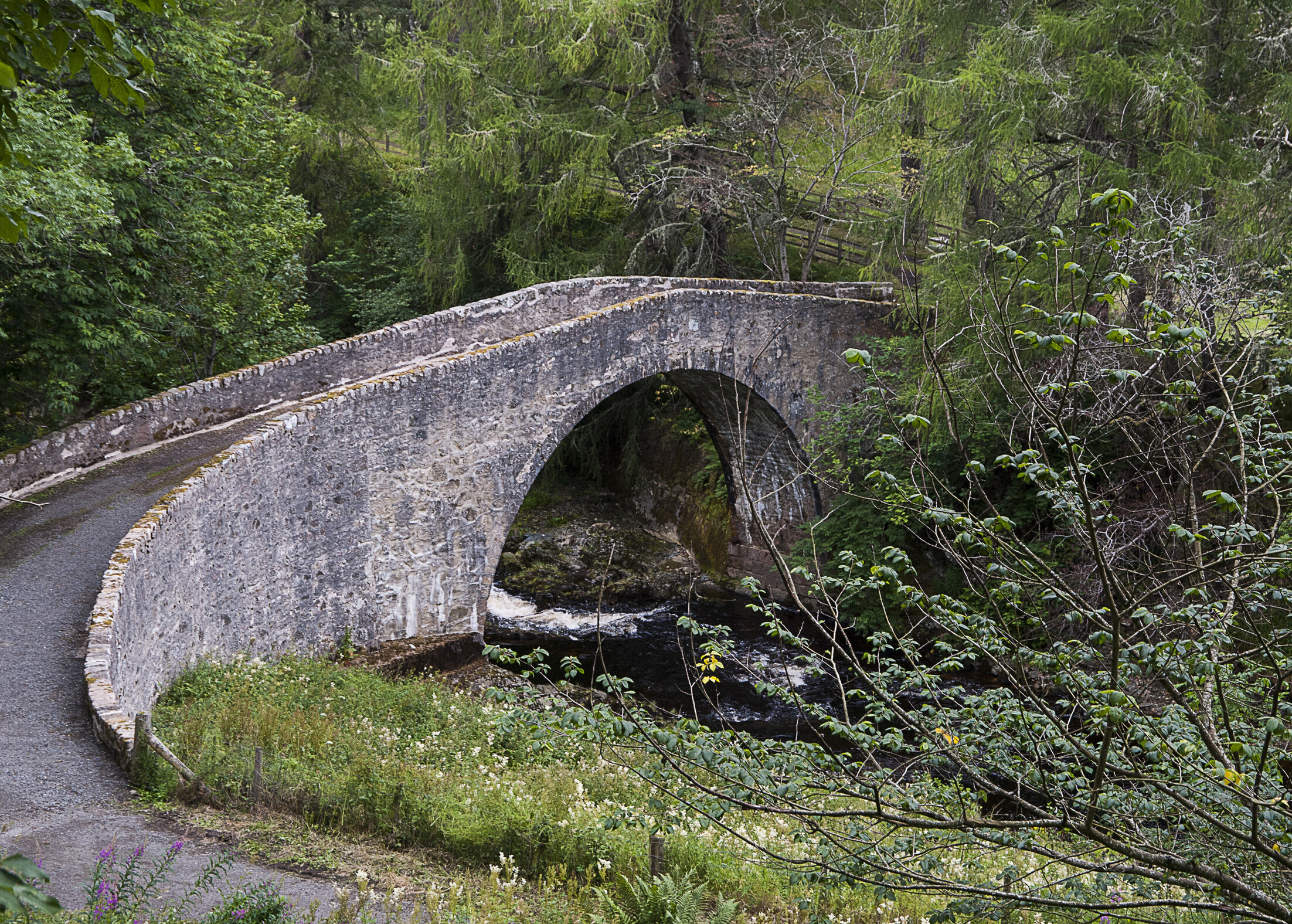 Stone bridge with greenery surrounding