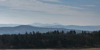 view of hills and forests