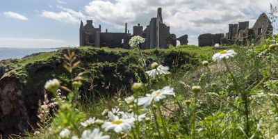 ruined castle in distance with wildflowers in foreground